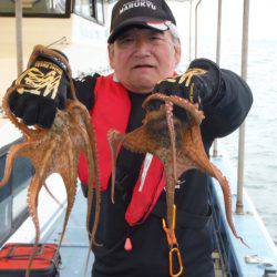 ヤザワ渡船 釣果