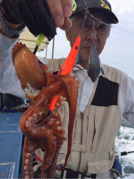 ヤザワ渡船 釣果