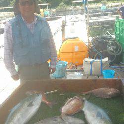 海の釣堀 海恵 釣果