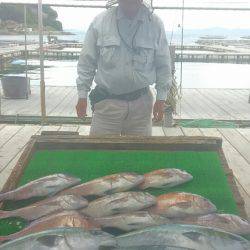 海の釣堀 海恵 釣果