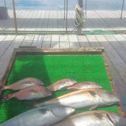 海の釣堀 海恵 釣果