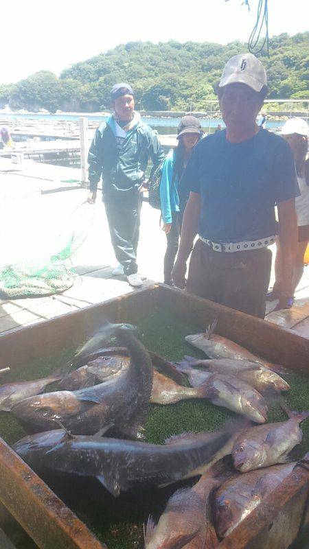 海の釣堀 海恵 釣果