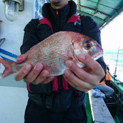 小島丸 釣果