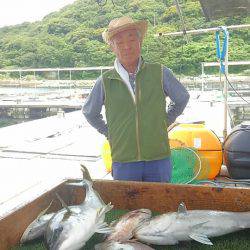 海の釣堀 海恵 釣果