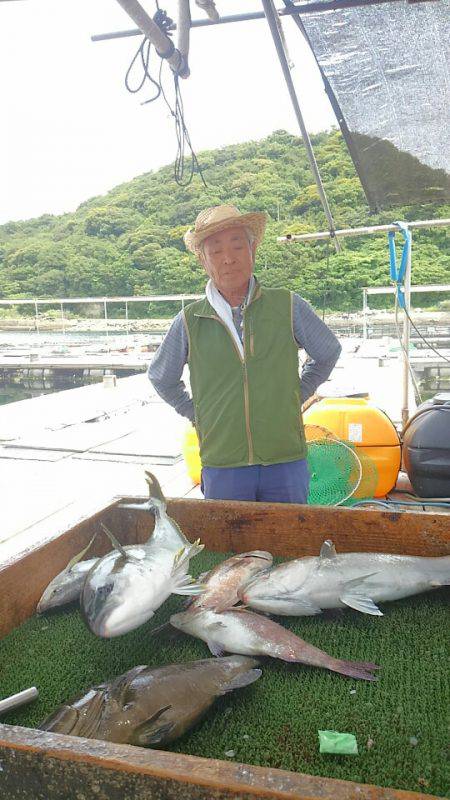 海の釣堀 海恵 釣果