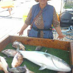 海の釣堀 海恵 釣果