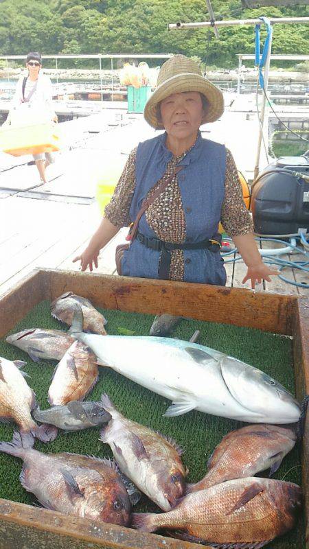 海の釣堀 海恵 釣果