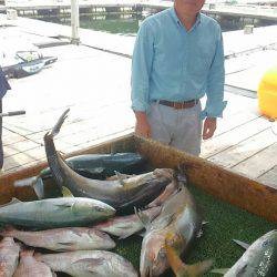 海の釣堀 海恵 釣果