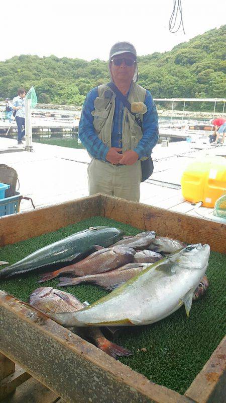 海の釣堀 海恵 釣果