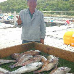 海の釣堀 海恵 釣果