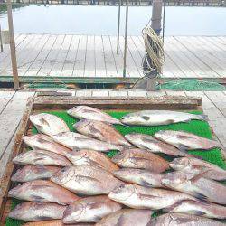 海の釣堀 海恵 釣果