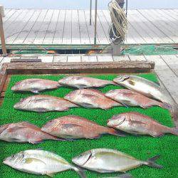 海の釣堀 海恵 釣果