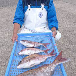 第三共栄丸 釣果