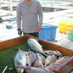 海の釣堀 海恵 釣果