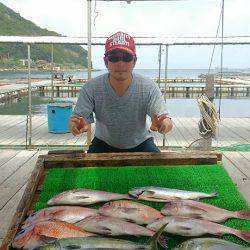 海の釣堀 海恵 釣果