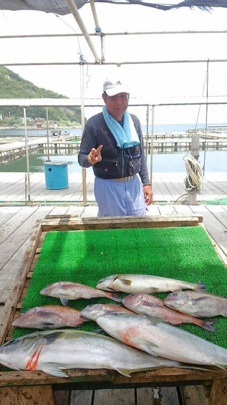 海の釣堀 海恵 釣果