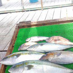 海の釣堀 海恵 釣果