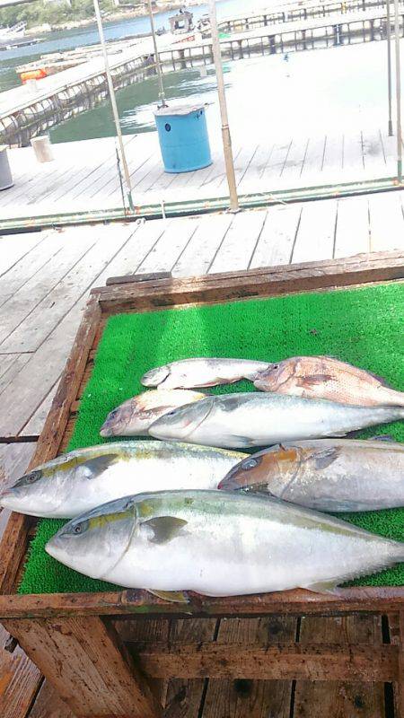 海の釣堀 海恵 釣果