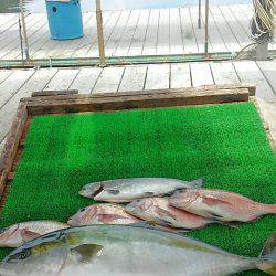 海の釣堀 海恵 釣果