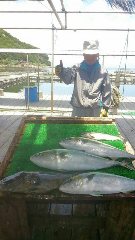 海の釣堀 海恵 釣果