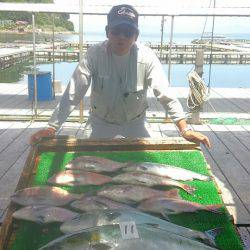 海の釣堀 海恵 釣果