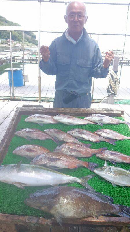 海の釣堀 海恵 釣果