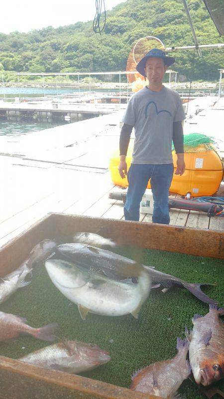 海の釣堀 海恵 釣果