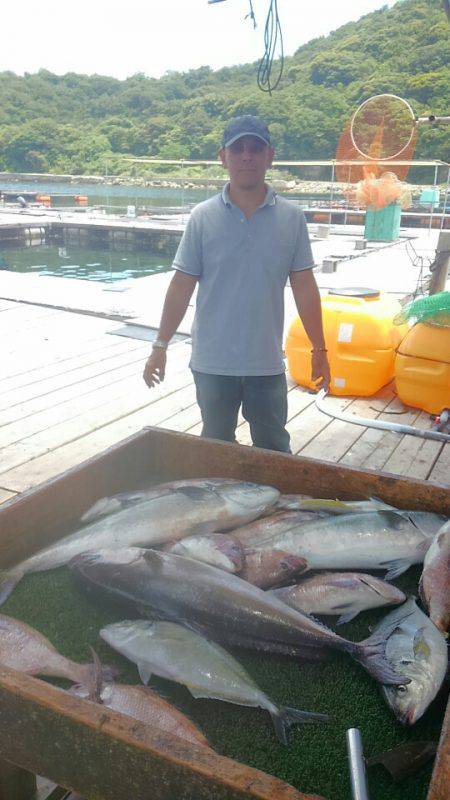 海の釣堀 海恵 釣果