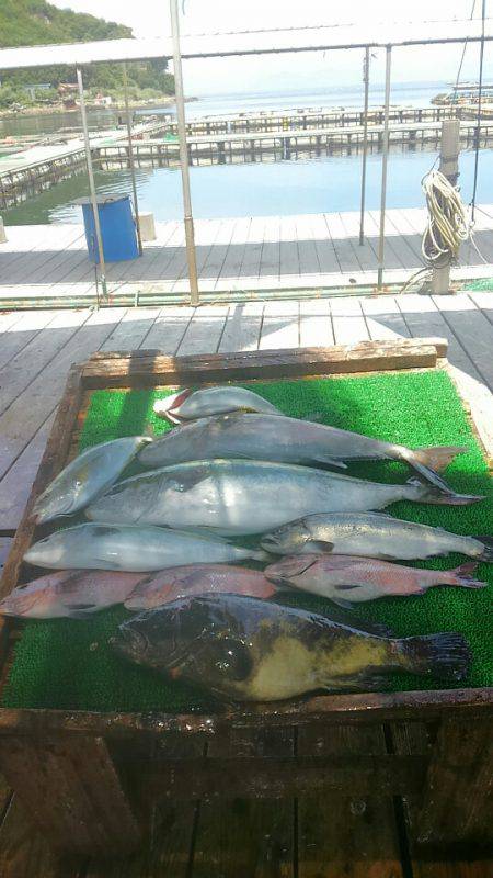 海の釣堀 海恵 釣果