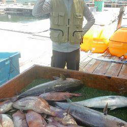 海の釣堀 海恵 釣果