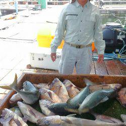 海の釣堀 海恵 釣果