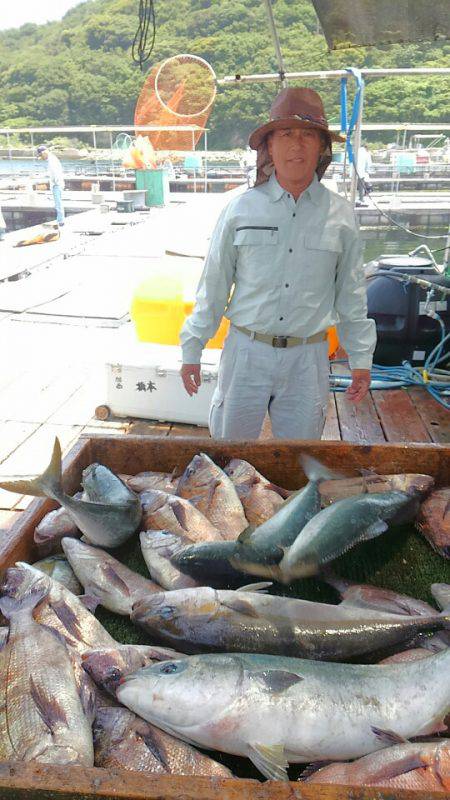 海の釣堀 海恵 釣果