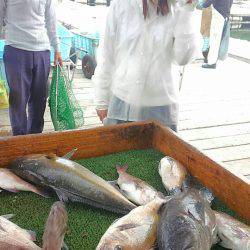 海の釣堀 海恵 釣果