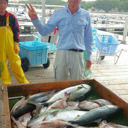 海の釣堀 海恵 釣果