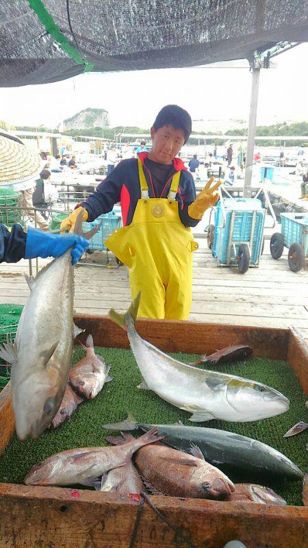 海の釣堀 海恵 釣果