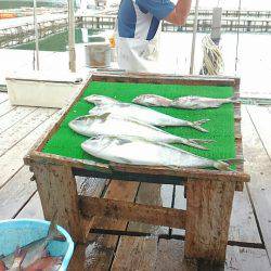 海の釣堀 海恵 釣果