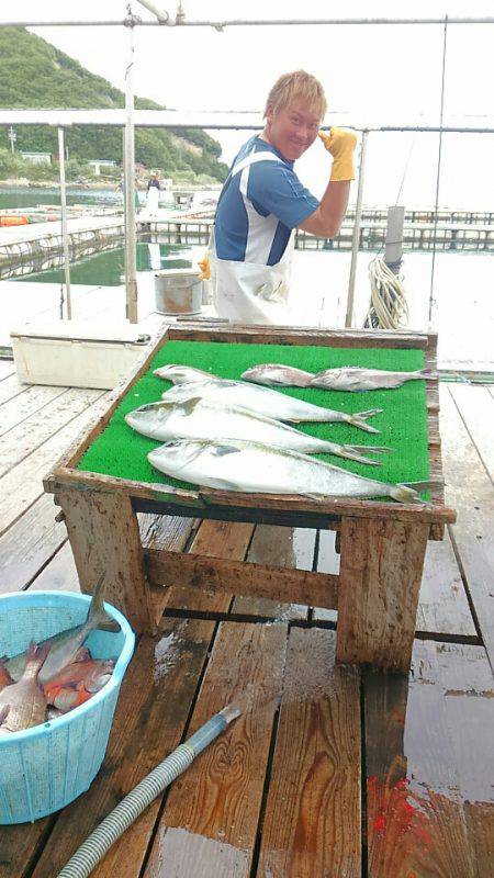 海の釣堀 海恵 釣果