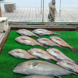 海の釣堀 海恵 釣果