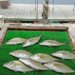 海の釣堀 海恵 釣果