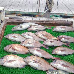 海の釣堀 海恵 釣果