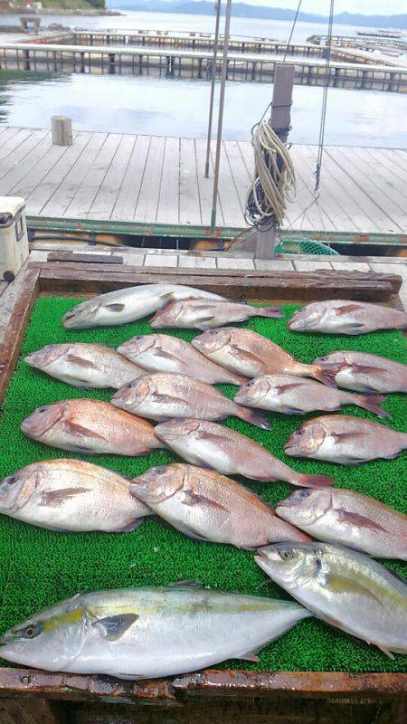 海の釣堀 海恵 釣果