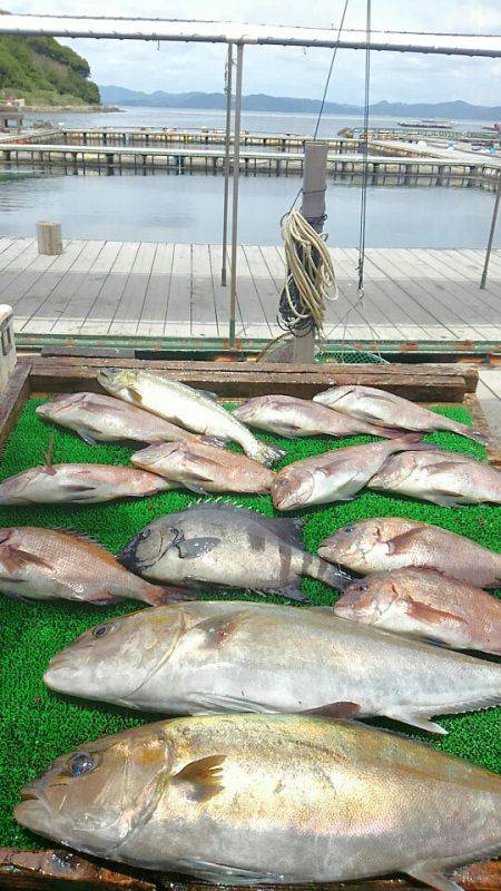 海の釣堀 海恵 釣果