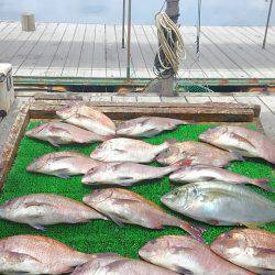 海の釣堀 海恵 釣果