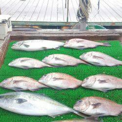 海の釣堀 海恵 釣果