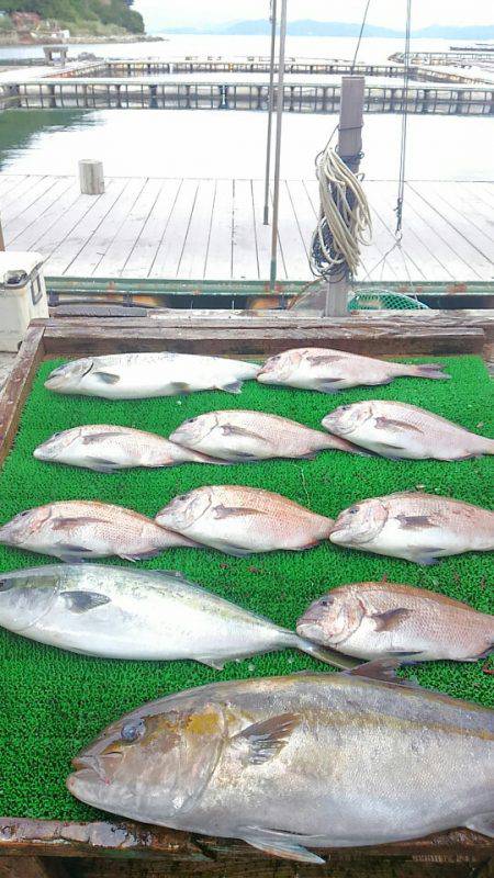 海の釣堀 海恵 釣果