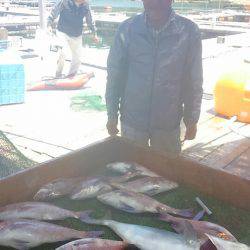 海の釣堀 海恵 釣果