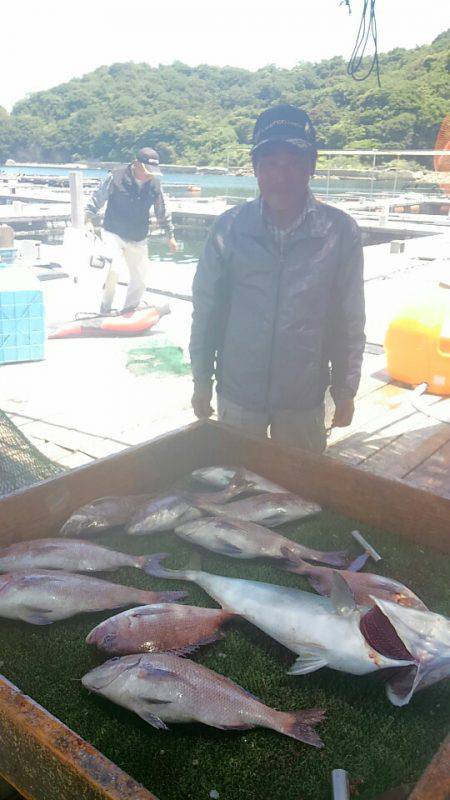 海の釣堀 海恵 釣果