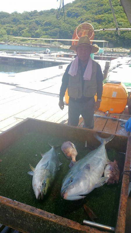 海の釣堀 海恵 釣果