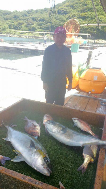 海の釣堀 海恵 釣果