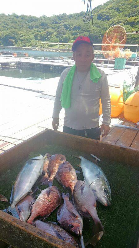 海の釣堀 海恵 釣果